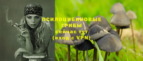 шишки Абаза