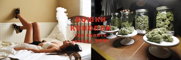 шишки Абаза