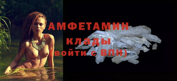 шишки Абаза