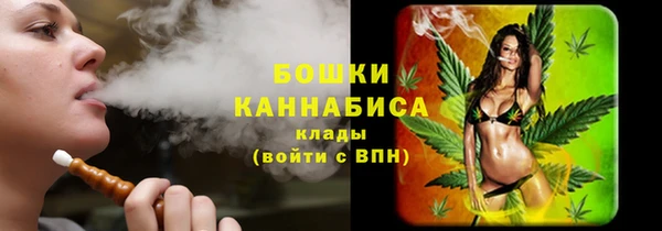 шишки Абаза