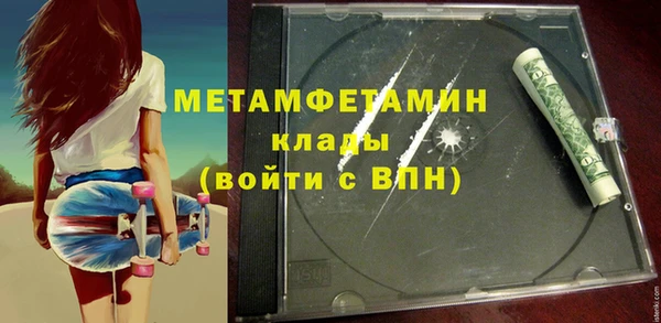 шишки Абаза