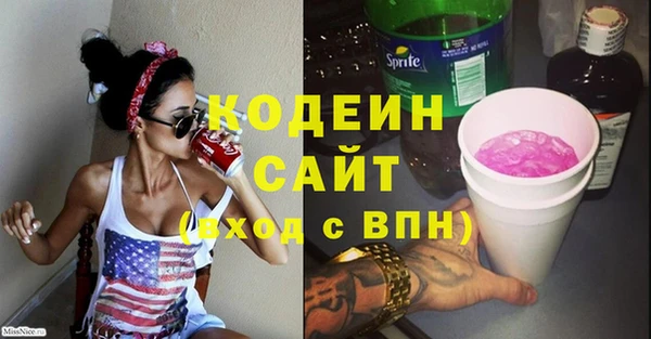 шишки Абаза