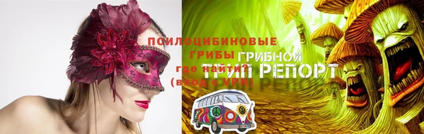 шишки Абаза
