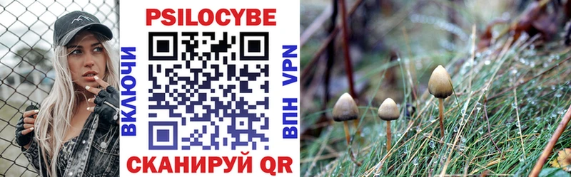 Псилоцибиновые грибы мицелий  Барнаул 